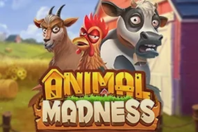Animal Madness